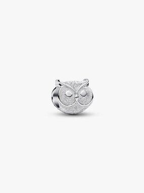Pandora Textured Owl Mini Charm